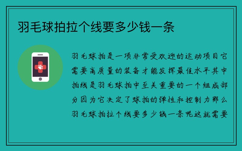 羽毛球拍拉個線要多少錢一條